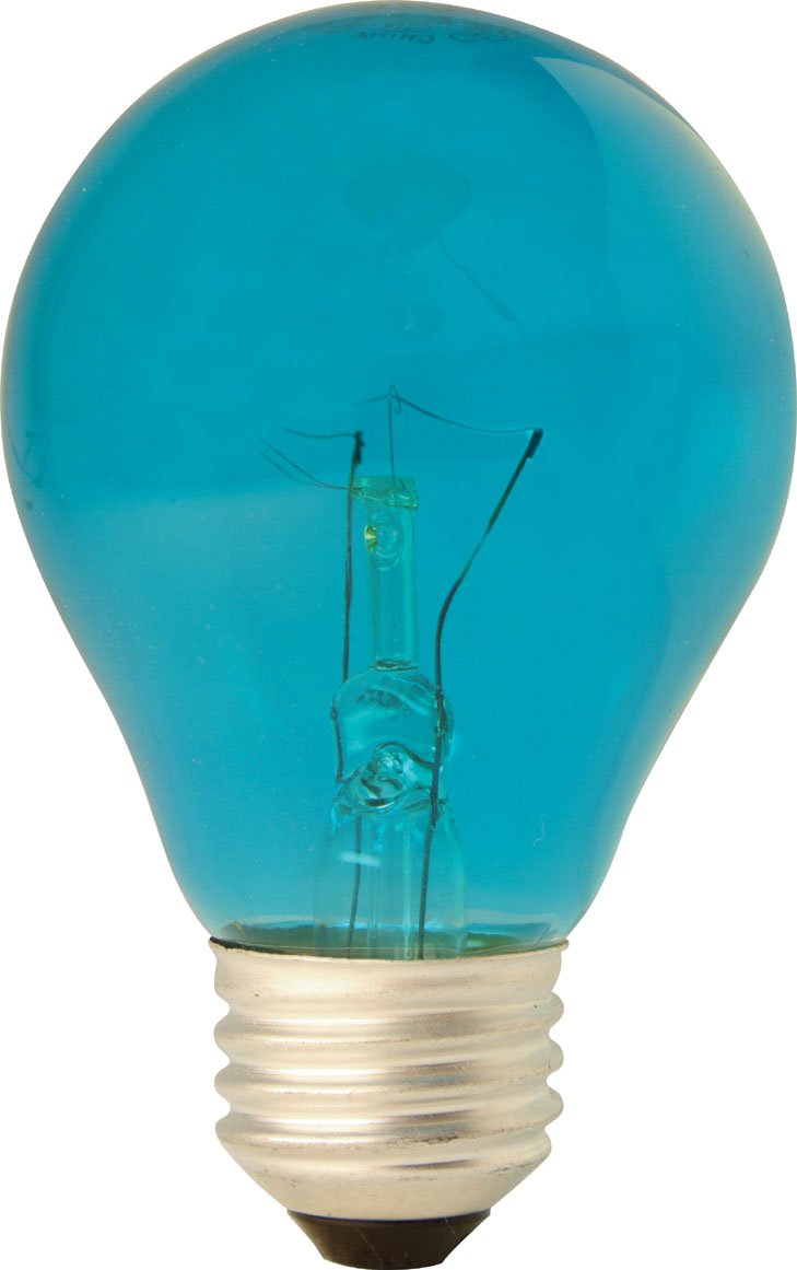 GE Party Light 22732 25-Watt Teal A19 Light Bulb with Medium Base